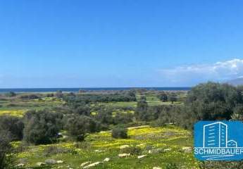 Kreta, Afrathias: Grundstück mit herrlichem Meerblick zu verkaufen
