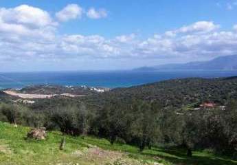 Kreta, Agios Nikolaos: Grundstück auf dem Land mit Panoramablick auf das Meer