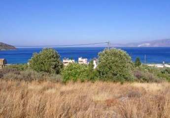 Kreta, Agios Nikolaos: Zwei angrenzende Grundstücke am Meer in bester Lage
