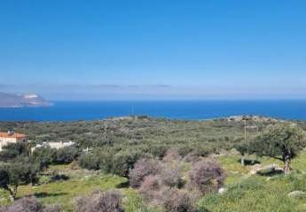 Großes Grundstück mit Meerblick zum Verkauf in Kokkino Chorio