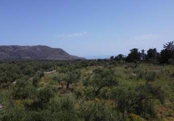 Kreta, Kefalas: Malerisches Grundstück mit Meerblick zu verkaufen