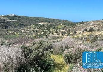 Kreta, Pitsidia: Grundstück am Ortsrand zu verkaufen