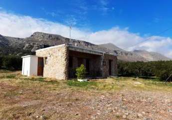Ostkreta, Zakros: Baugrundstück mit zwei kleinen Häusern und Olivenbäumen zu verkaufen