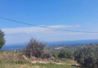 Kreta, Agia Triada: Grundstück mit Baugenehmigung für 3 zweistöckige Häuser mit Swimmingpool zu verkaufen