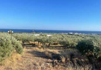 Kreta, Koutsouras: Tolles Baugrundstück in Meeresnähe zu verkaufen