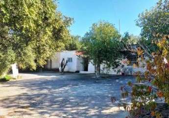 Ostkreta, Pappagiannades: Bewohnbares Haus mit Olivenbäumen und Bergblick zu verkaufen