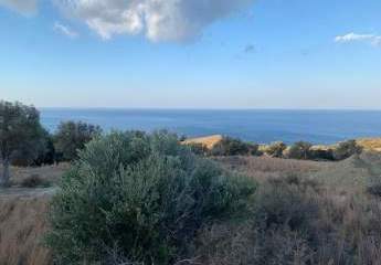 Kreta, Agia Paraskevi: Bebaubares Grundstück in der Nähe der Strände Triopetra und Ligres zu verkaufen