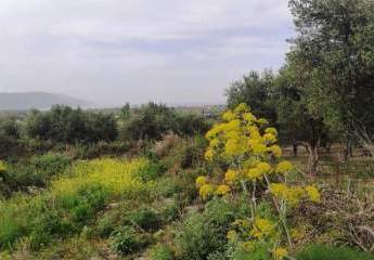 Kreta, Kavallos: Grundstück mit Meerblick zu verkaufen