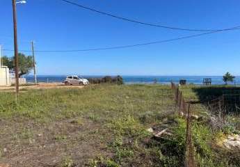 444529-Vorschaubild2