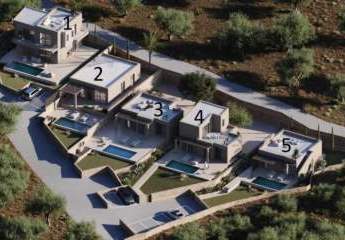 447421-Vorschaubild3