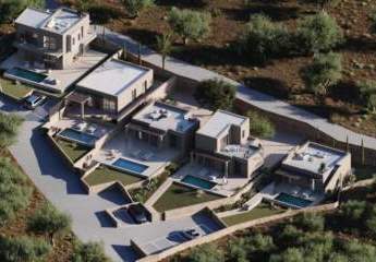 447422-Vorschaubild2