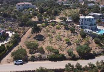 447426-Vorschaubild2