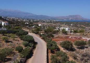 447426-Vorschaubild3