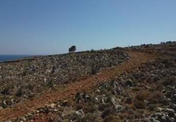 447427-Vorschaubild2