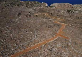 447427-Vorschaubild4