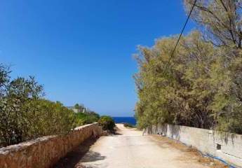 447428-Vorschaubild3