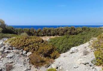 447428-Vorschaubild4