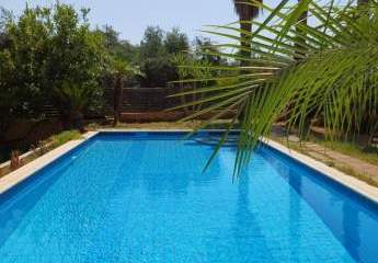 448936-Vorschaubild2