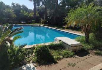 448936-Vorschaubild3