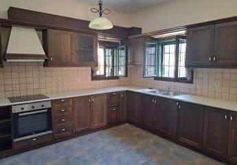 448939-Vorschaubild2