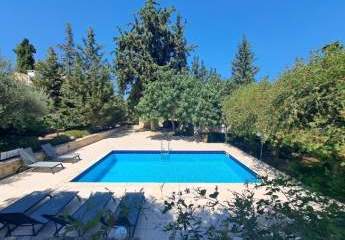 448941-Vorschaubild2