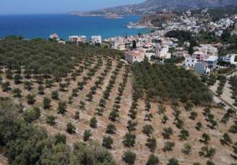 Kreta, Kalyves: Weitläufiges Grundstück mit Meerblick zu verkaufen