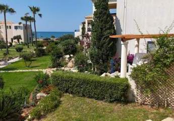 449063-Vorschaubild3