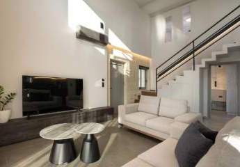 449329-Vorschaubild3