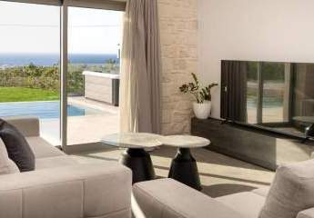 449329-Vorschaubild4