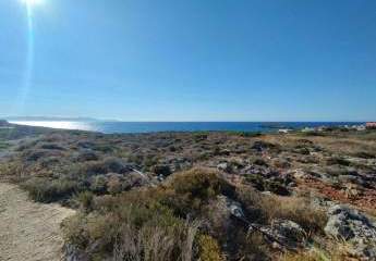 Kreta, Stavros: Küstengrundstücke mit Baugenehmigung und Meerblick zu verkaufen