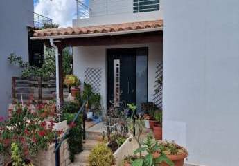 451539-Vorschaubild2