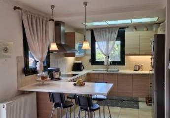 451539-Vorschaubild3