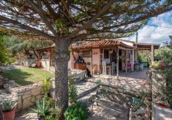 453148-Vorschaubild2