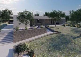 454211-Vorschaubild2