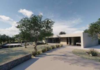 454211-Vorschaubild3