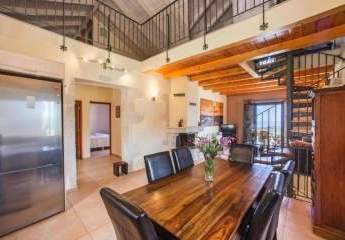 456152-Vorschaubild4