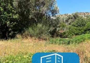 403531-Vorschaubild3