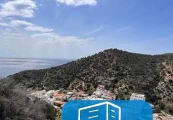 403534-Vorschaubild2