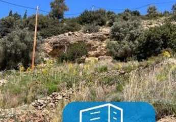 403534-Vorschaubild3