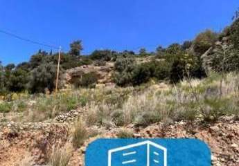 403534-Vorschaubild4