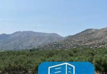 406316-Vorschaubild3