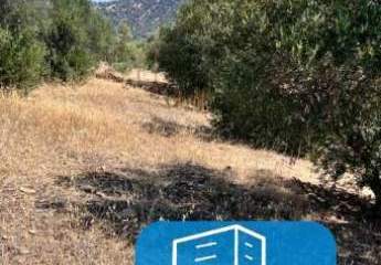 403535-Vorschaubild2