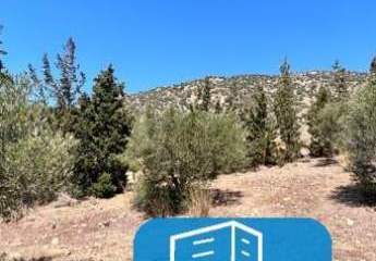 403535-Vorschaubild3