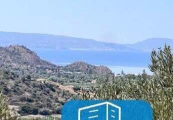 403535-Vorschaubild4