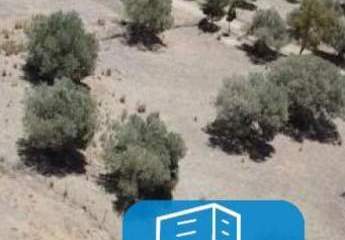 403597-Vorschaubild2