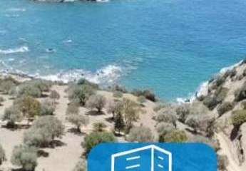 403597-Vorschaubild3