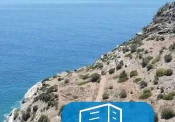 403597-Vorschaubild4