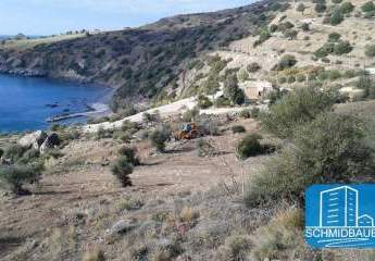 403600-Vorschaubild2