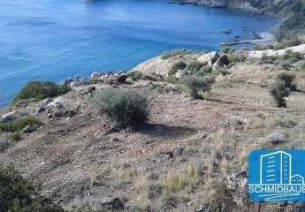 403600-Vorschaubild3