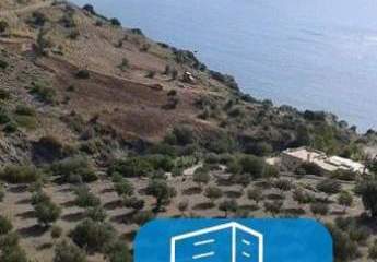 403600-Vorschaubild4